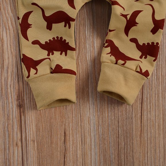 Dinosaurs Boys Hooded Sweatshirt & Pants Outfit Set - Picture 3 of 4